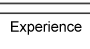 Experience